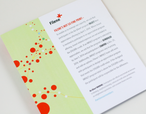 Filene Go Silver Mailer Design